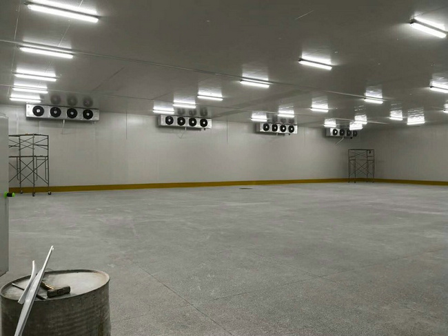 建造100平方冷凍庫需要多少錢？